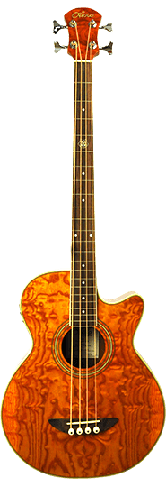 Nez 4 Fretless